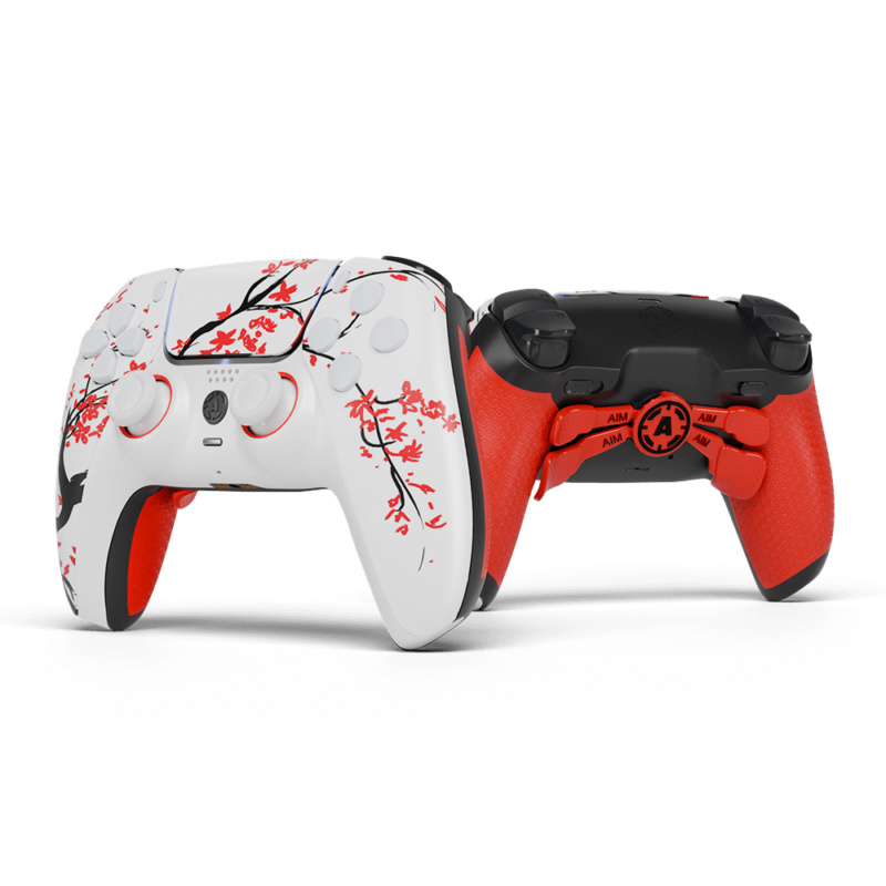 Cherry PS5 Aim Controller